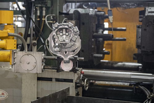 加快構(gòu)建科技創(chuàng)新生態(tài) 高品質(zhì)營(yíng)造創(chuàng)新環(huán)境