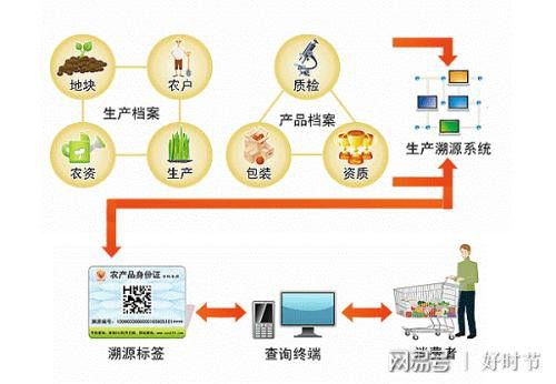 健康新方向 紅軍山藥面，信息管理服務賦能餐飲新體驗