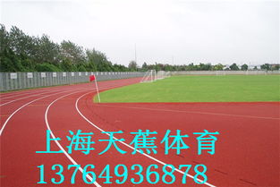 鋪設塑膠跑道 環保材料的選擇、生產廠家與價格分析