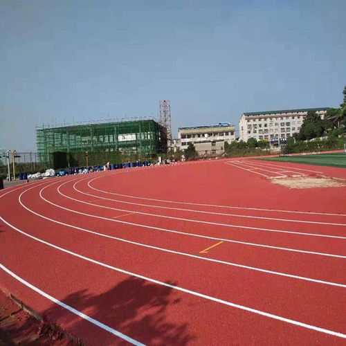 塑膠跑道廠家、材料與價格全解析 復合型塑膠跑道生產指南